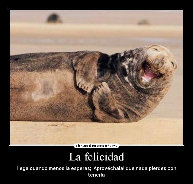 La felicidad - 