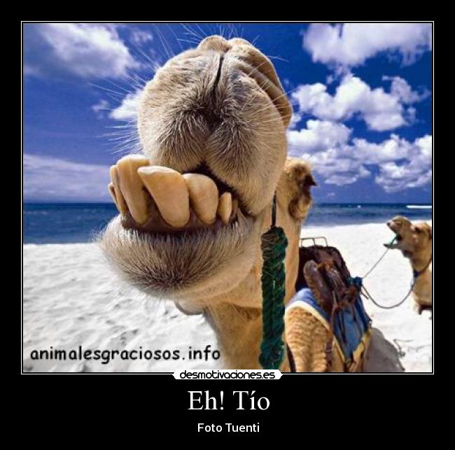 Eh! Tío -