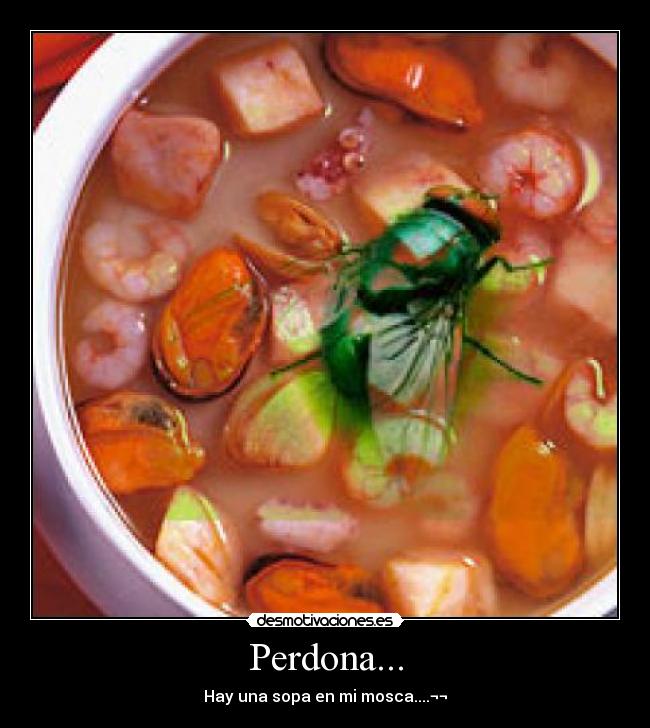 Perdona... -