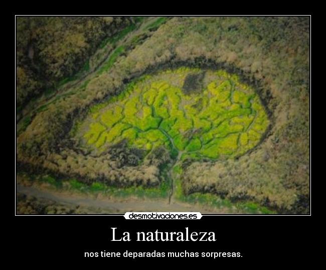 La naturaleza - nos tiene deparadas muchas sorpresas.