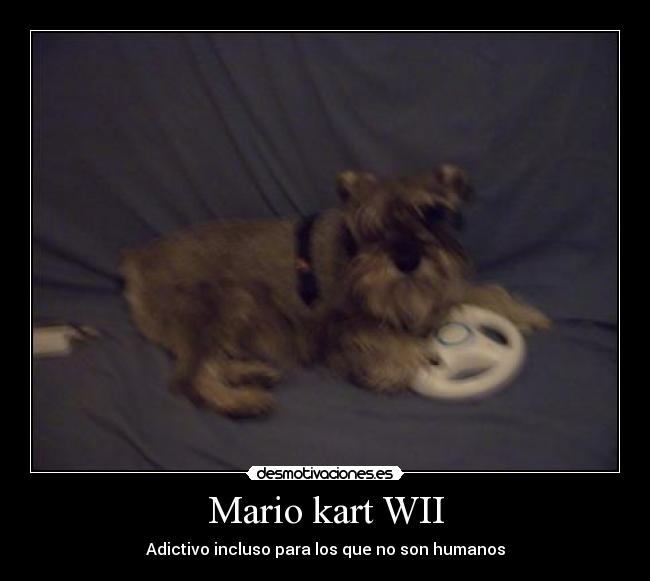 carteles animalesvideojuegosgraciosonatural desmotivaciones