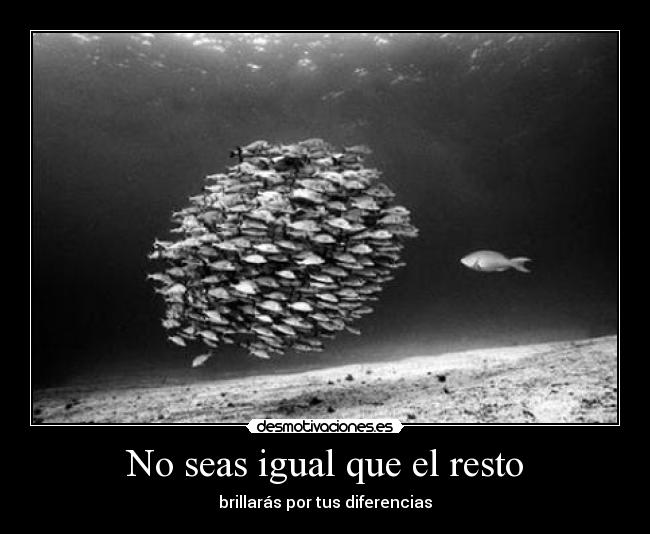No seas igual que el resto - brillarás por tus diferencias