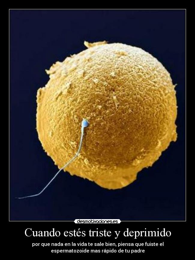 Cuando estés triste y deprimido - por que nada en la vida te sale bien, piensa que fuiste el
espermatozoide mas rápido de tu padre