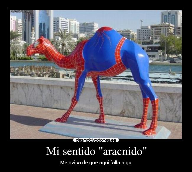 Mi sentido aracnido - 