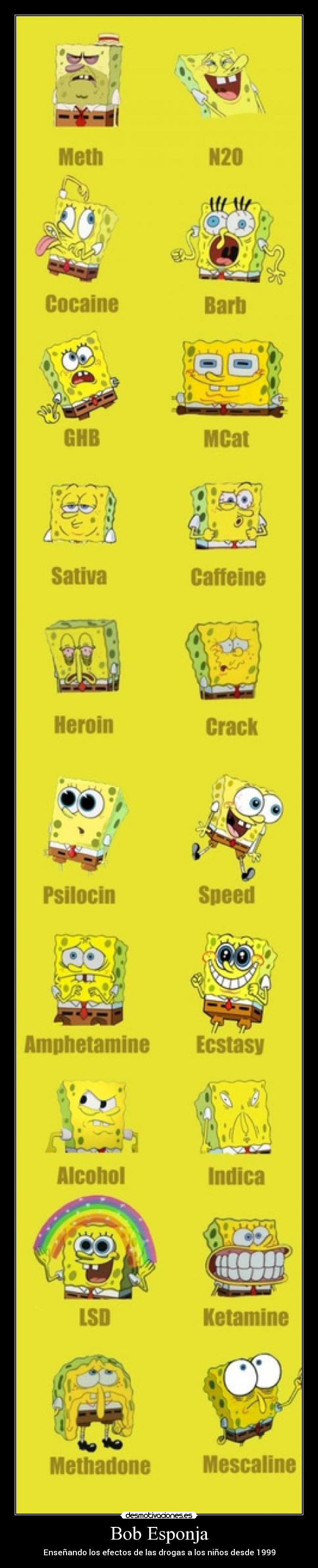 Bob Esponja -