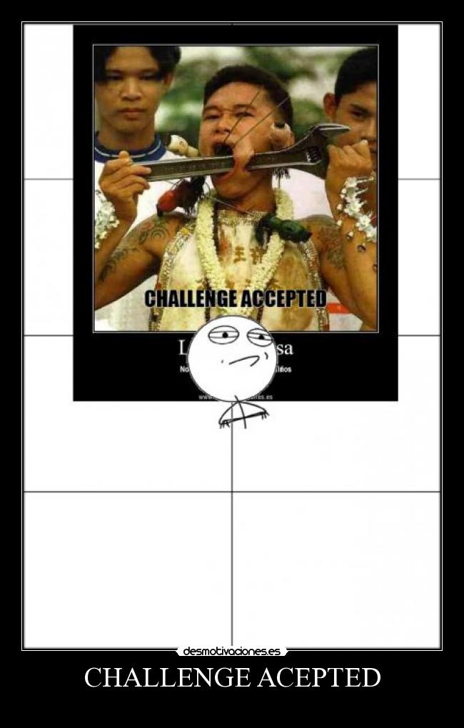 CHALLENGE ACEPTED - 