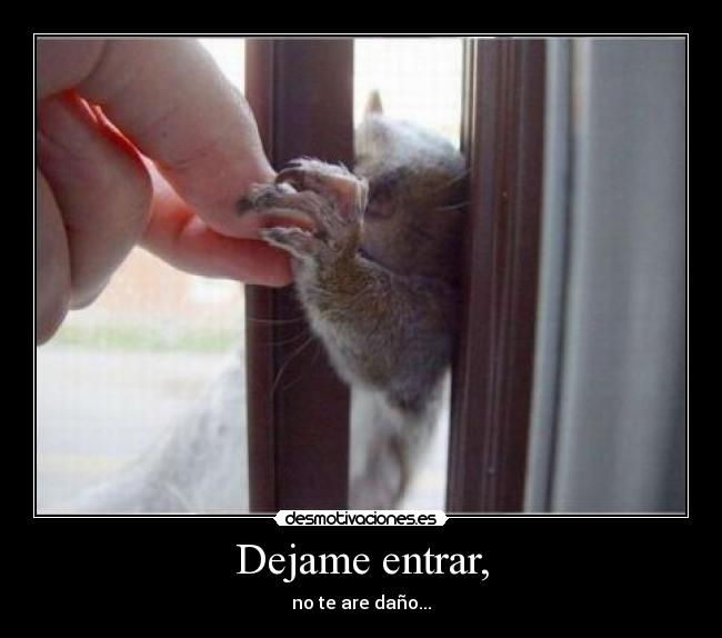 Dejame entrar, - no te are daño...