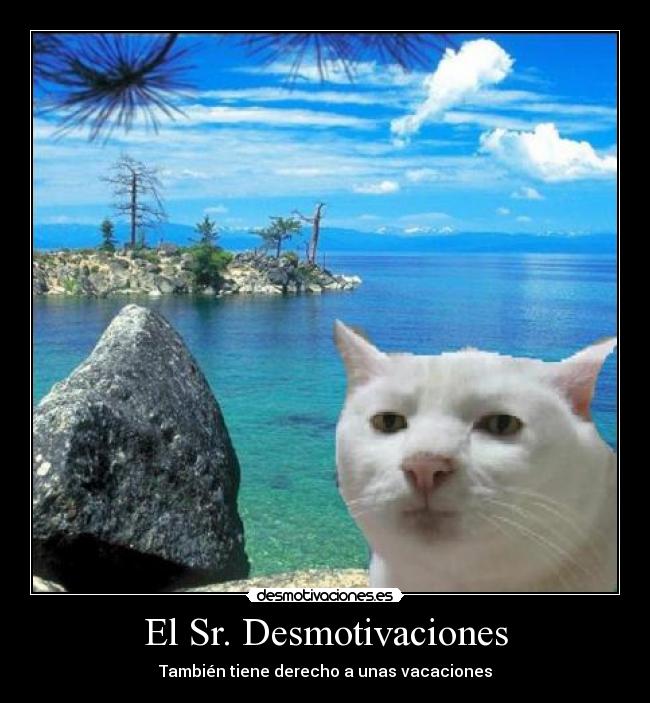 El Sr. Desmotivaciones - También tiene derecho a unas vacaciones