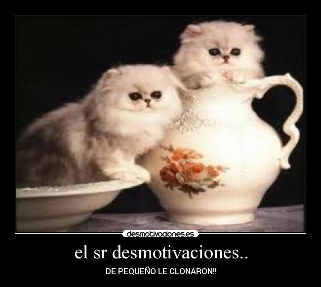 el sr desmotivaciones.. - 