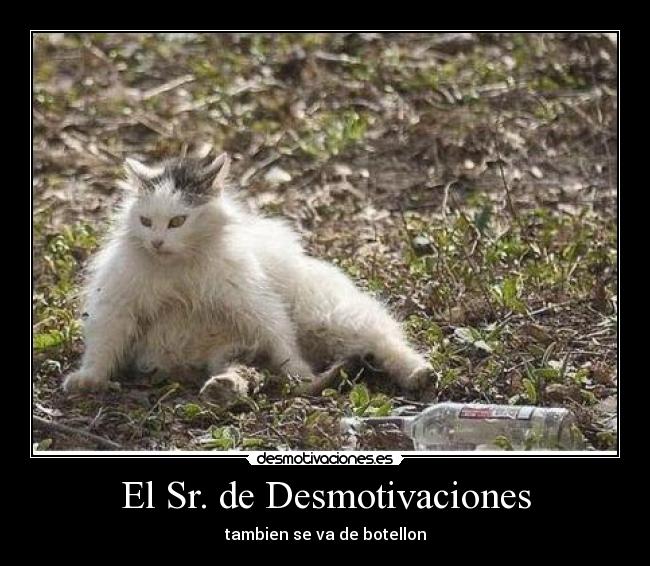 El Sr. de Desmotivaciones -