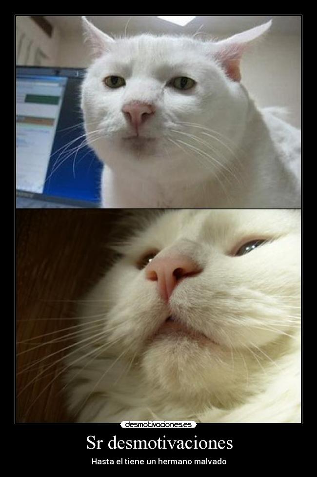 Sr desmotivaciones - Hasta el tiene un hermano malvado