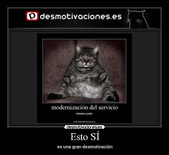 carteles mantenimiento desmotivaciones gato desmotivaciones