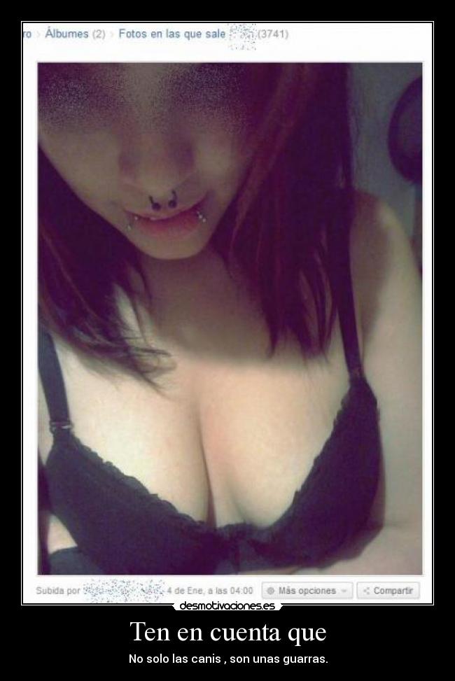 Ten en cuenta que - No solo las canis , son unas guarras.
