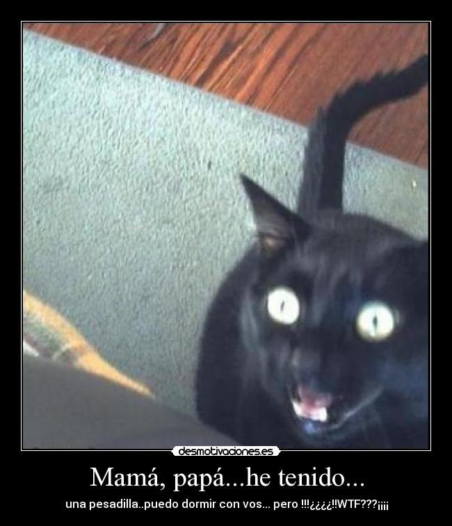 carteles gatosfollando desmotivaciones