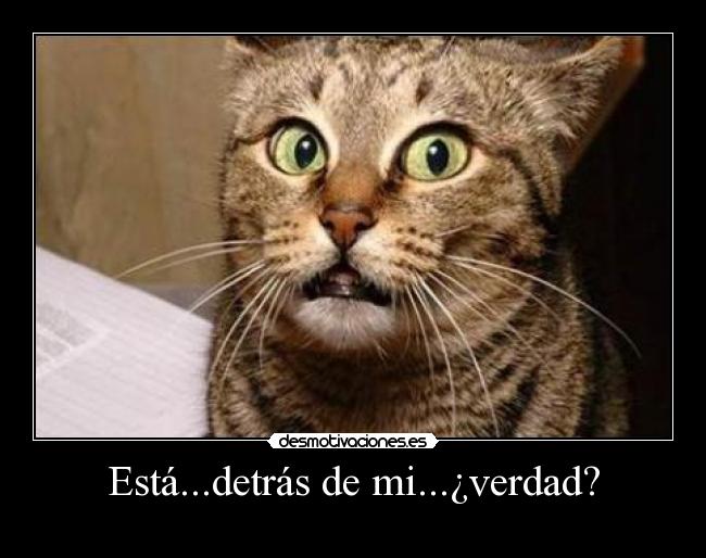 Está...detrás de mi...¿verdad? -