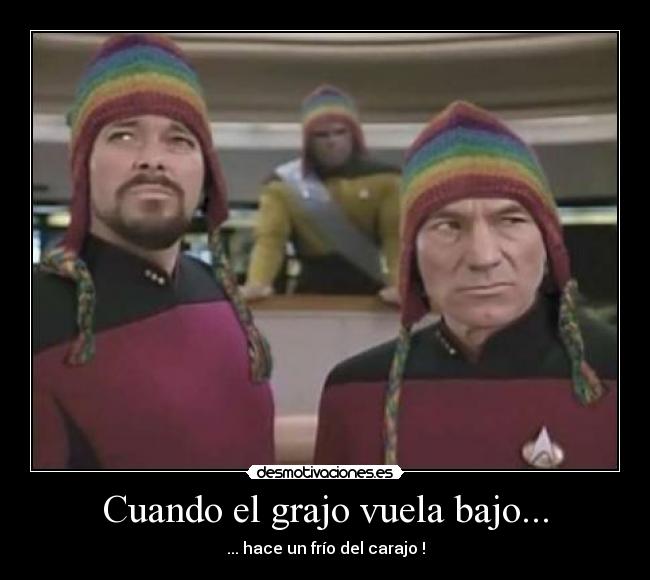 Cuando el grajo vuela bajo... - ... hace un frío del carajo !