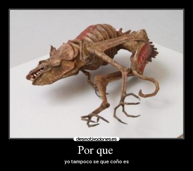 Por que  - 