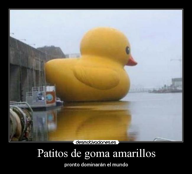 Patitos de goma amarillos - 