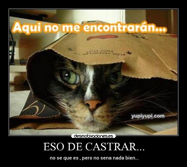 ESO DE CASTRAR... -