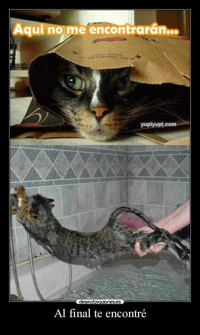 Al final te encontré -