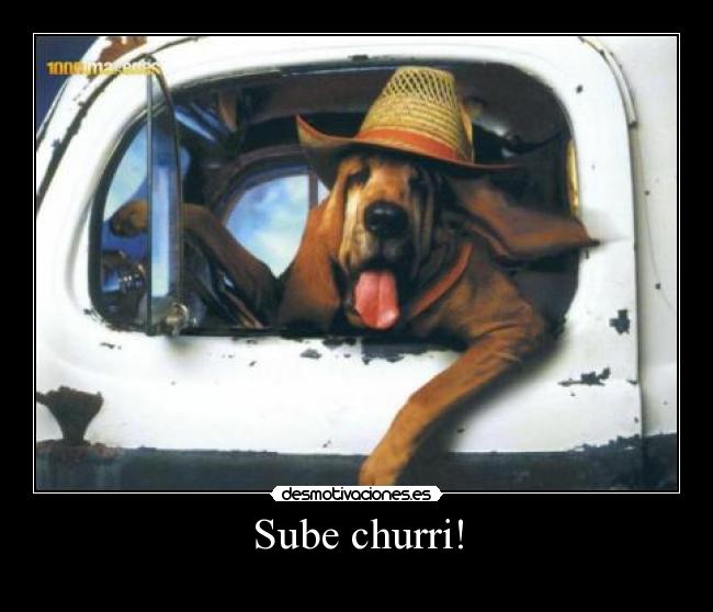 Sube churri! -