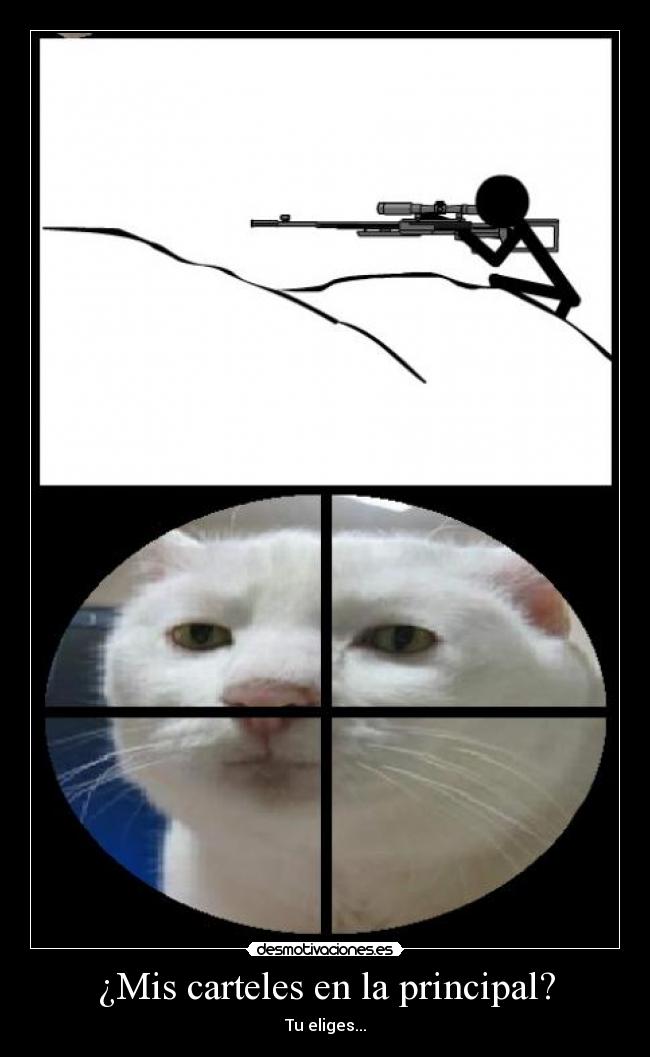 ¿Mis carteles en la principal? - 