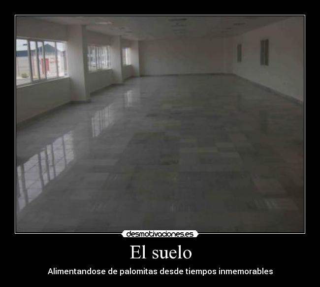 El suelo - 