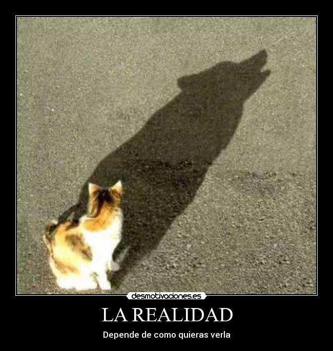 LA REALIDAD - Depende de como quieras verla