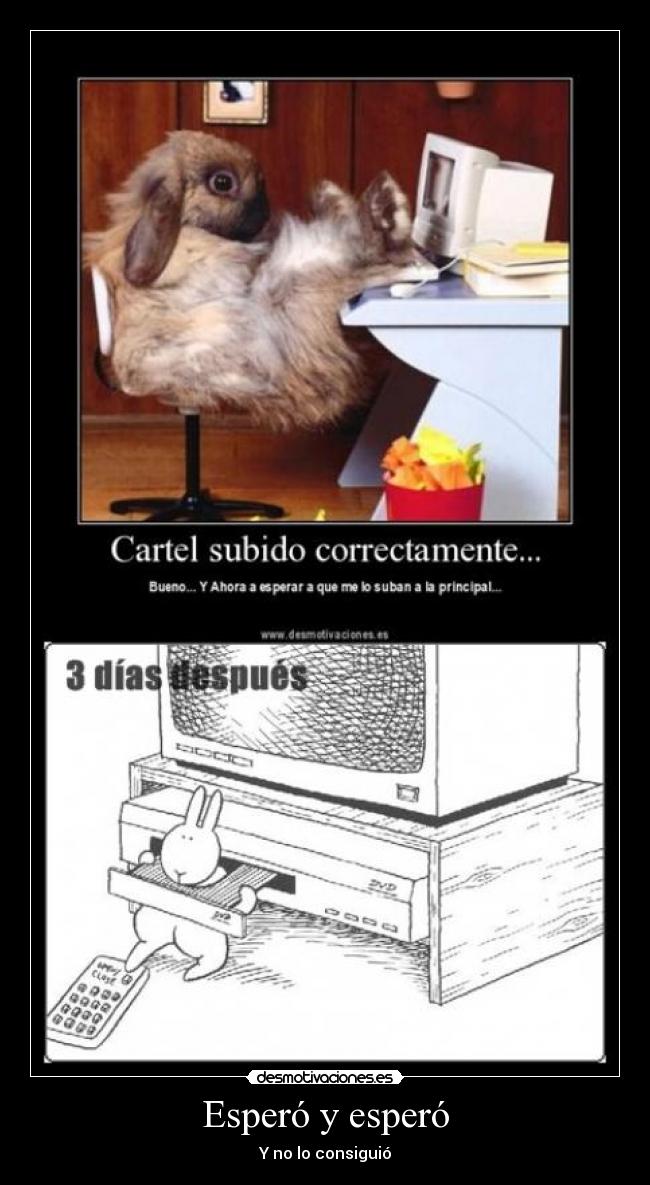 Esperó y esperó - Y no lo consiguió