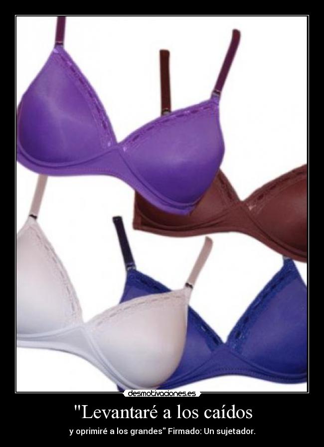 carteles sujetador levantar oprimir desmotivaciones