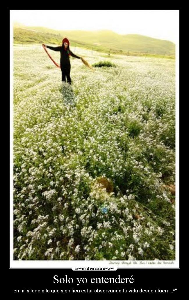 Solo yo entenderé - en mi silencio lo que significa estar observando tu vida desde afuera...*
