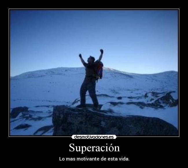 carteles zizulm desmotivaciones