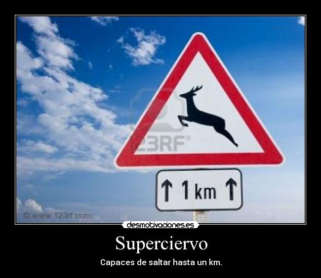 Superciervo - Capaces de saltar hasta un km.