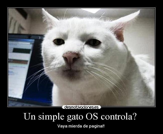 carteles maricones mierda desmotivaciones