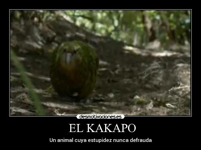 carteles desmotivaciones