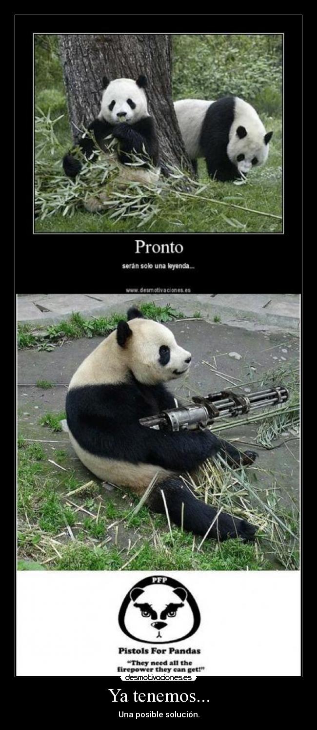 Ya tenemos... - Una posible solución.