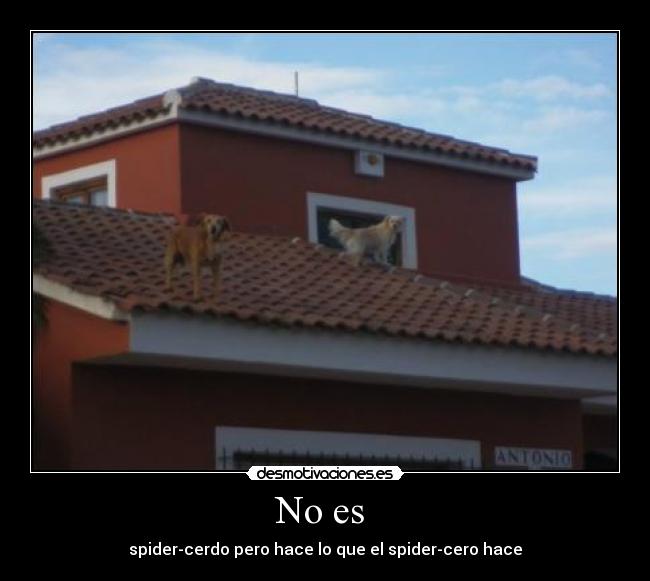 No es  - spider-cerdo pero hace lo que el spider-cero hace
