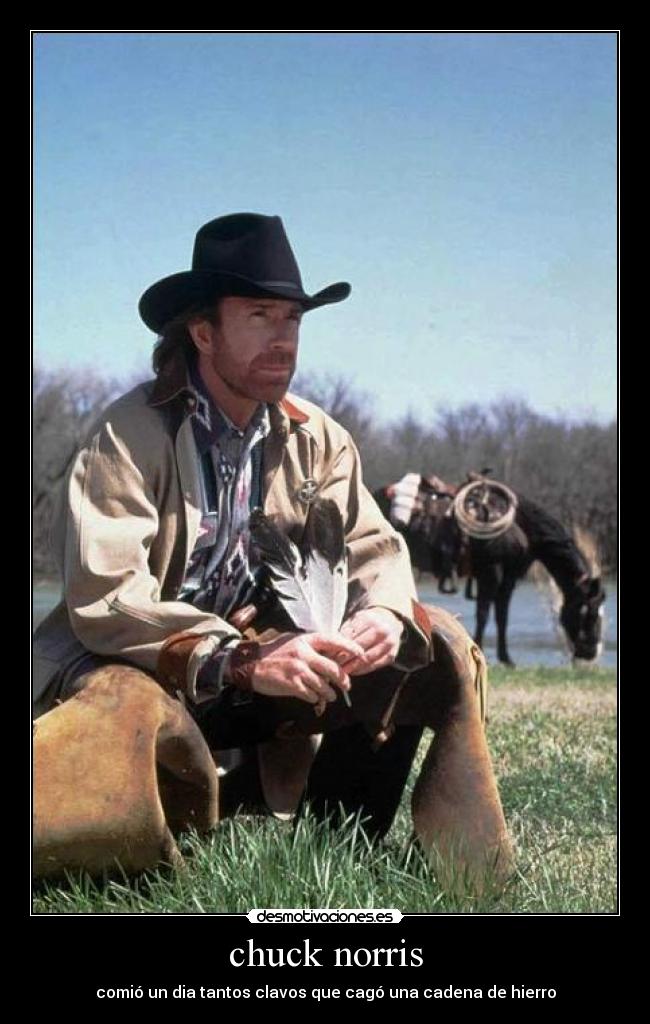 chuck norris -