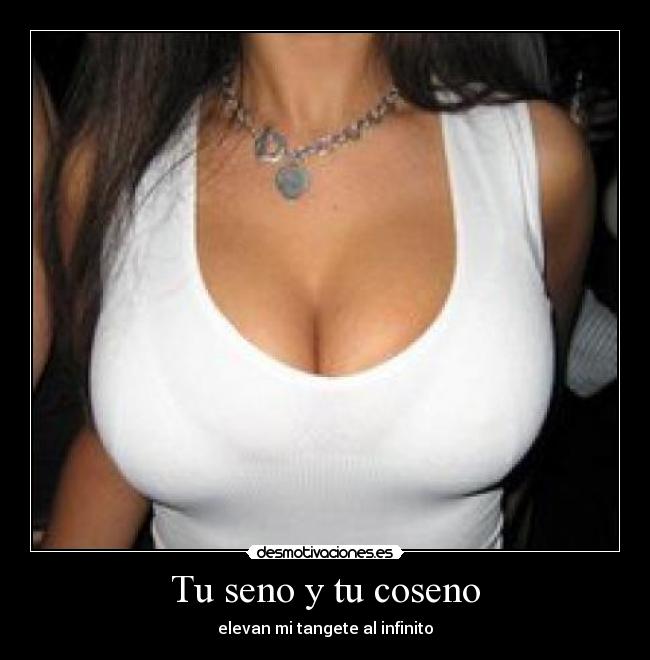 Tu seno y tu coseno -