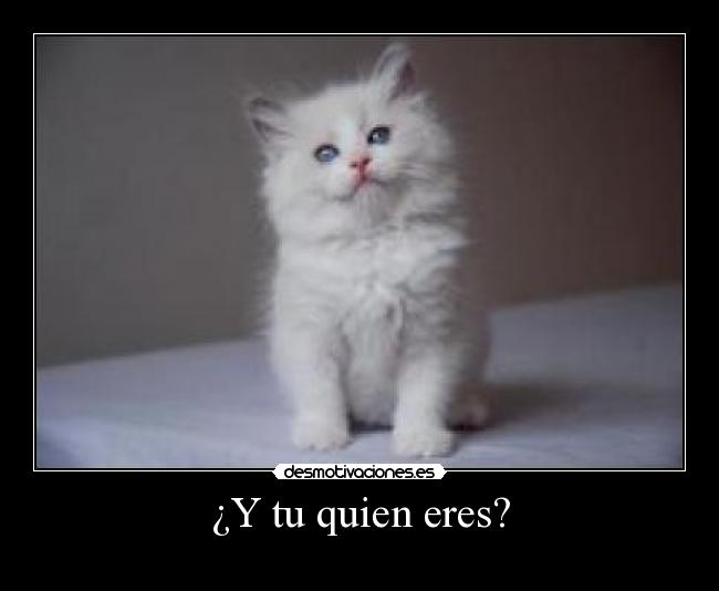 ¿Y tu quien eres? -