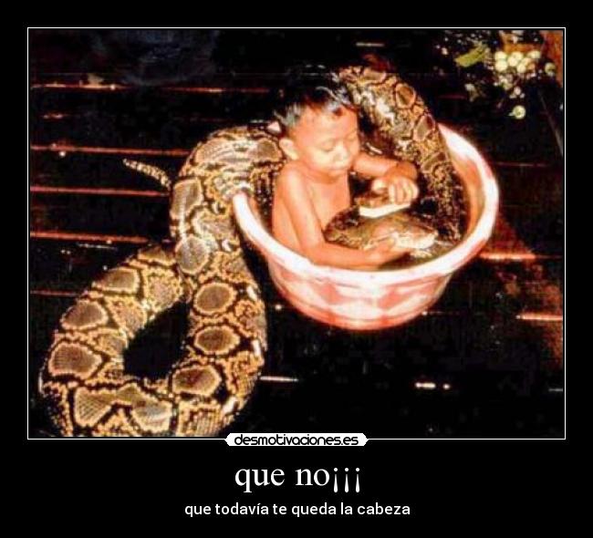 que no¡¡¡ - que todavía te queda la cabeza