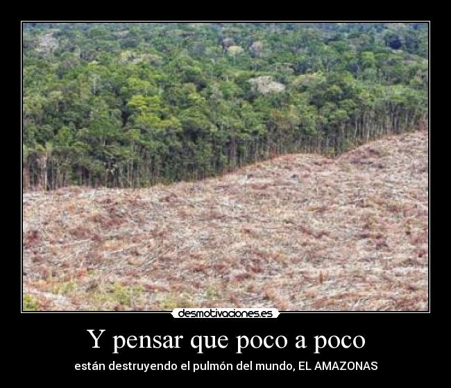 Y pensar que poco a poco - están destruyendo el pulmón del mundo, EL AMAZONAS