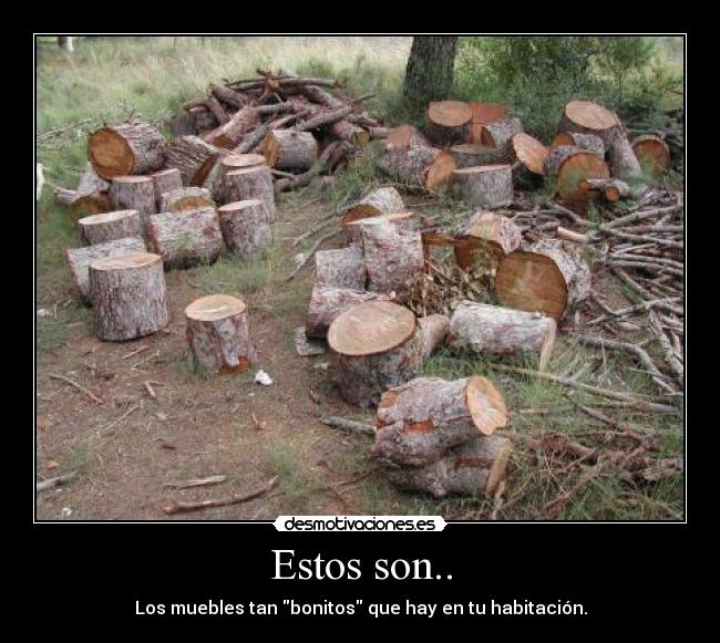 Estos son.. - 