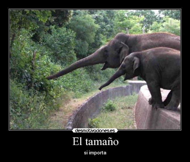 El tamaño - si importa