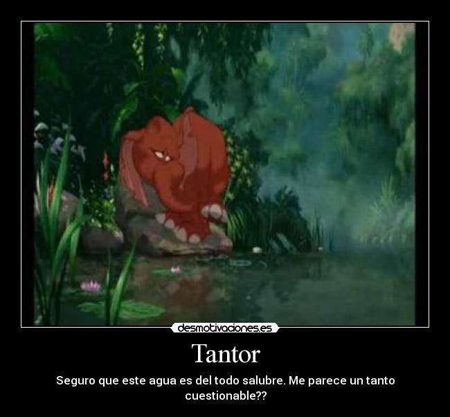 Tantor - Seguro que este agua es del todo salubre. Me parece un tanto cuestionable??