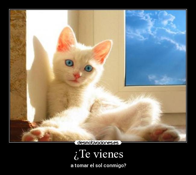 ¿Te vienes - a tomar el sol conmigo?