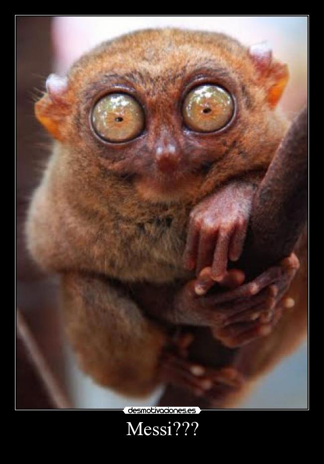 carteles suko13 desmotivaciones