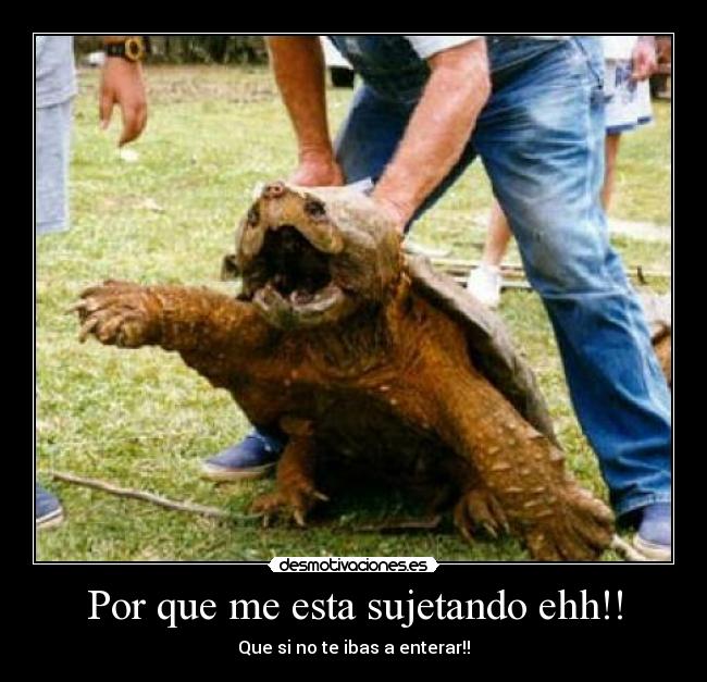 Por que me esta sujetando ehh!! - 