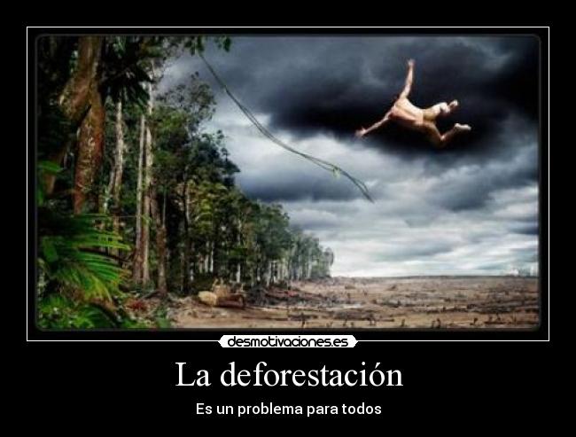 La deforestación -