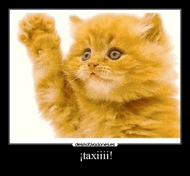 ¡taxiiii! - 